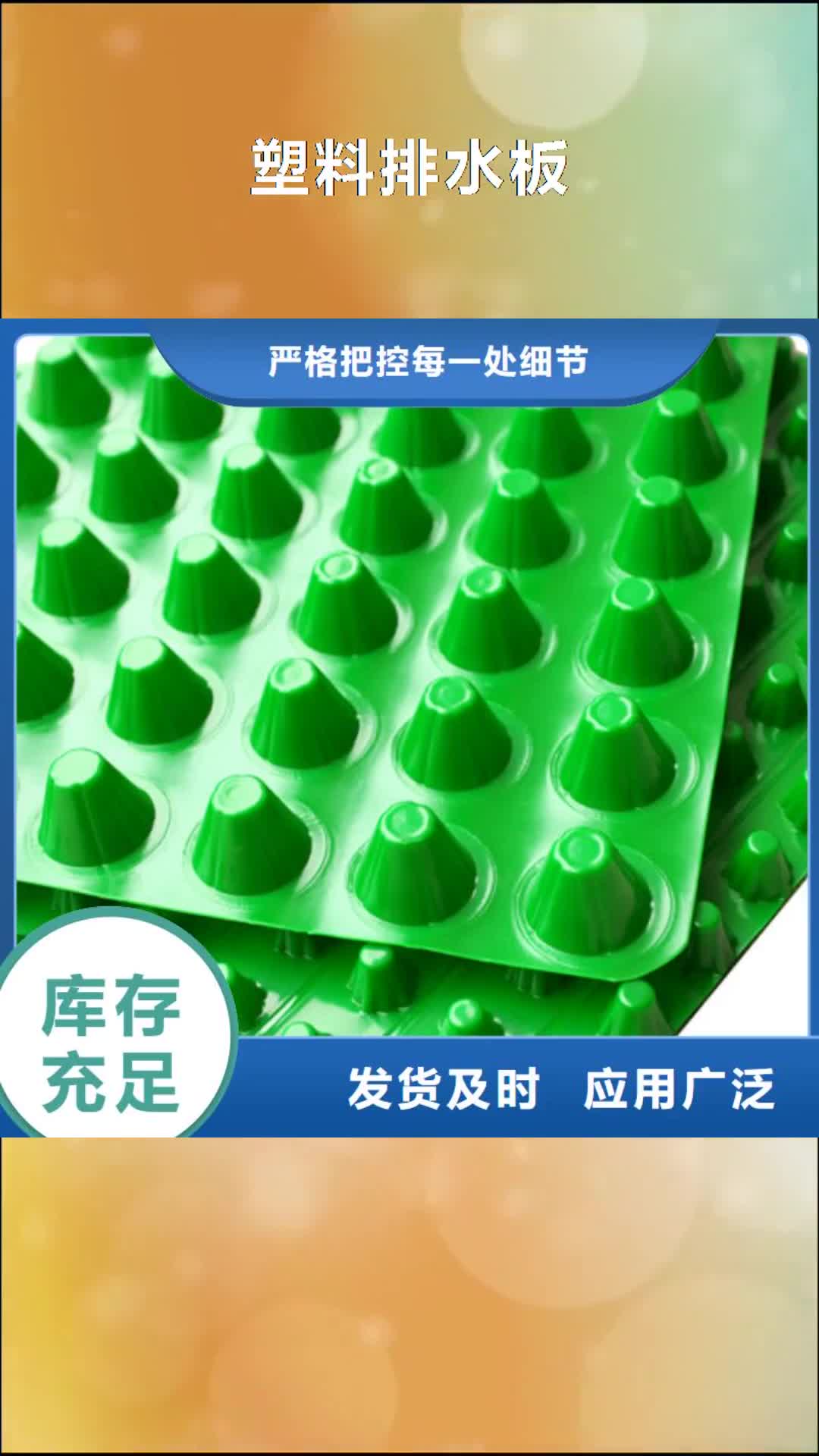 四平 塑料排水板-【车库虹吸排水系统】高质量高信誉